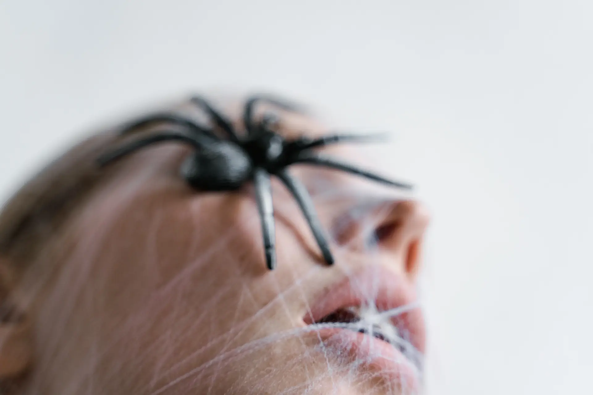 Почему люди боятся пауков