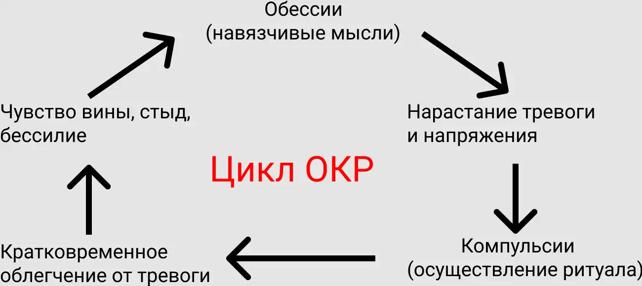 Цикл обсессивно-компульсивного расстройства.