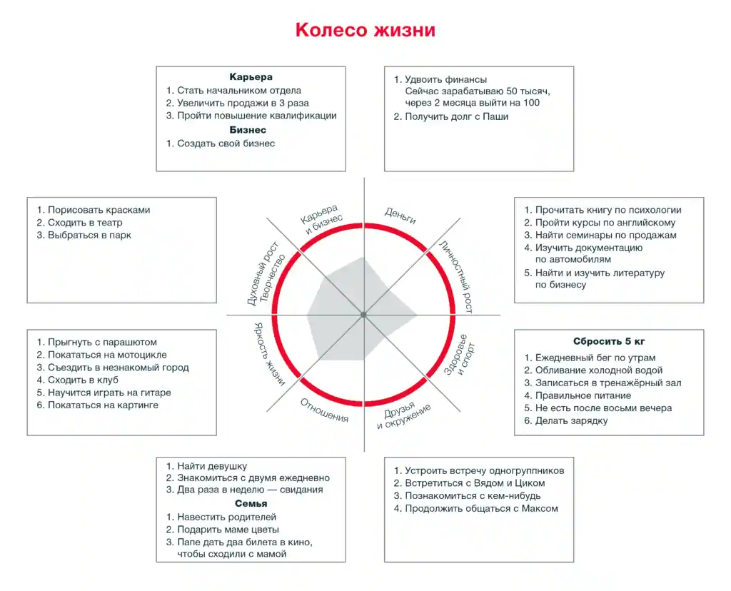 Что такое колесо баланса Майера?